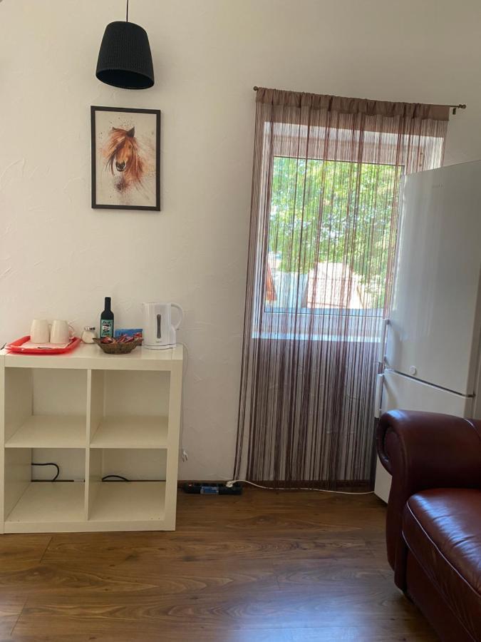 בראשוב Villa Zetta מראה חיצוני תמונה