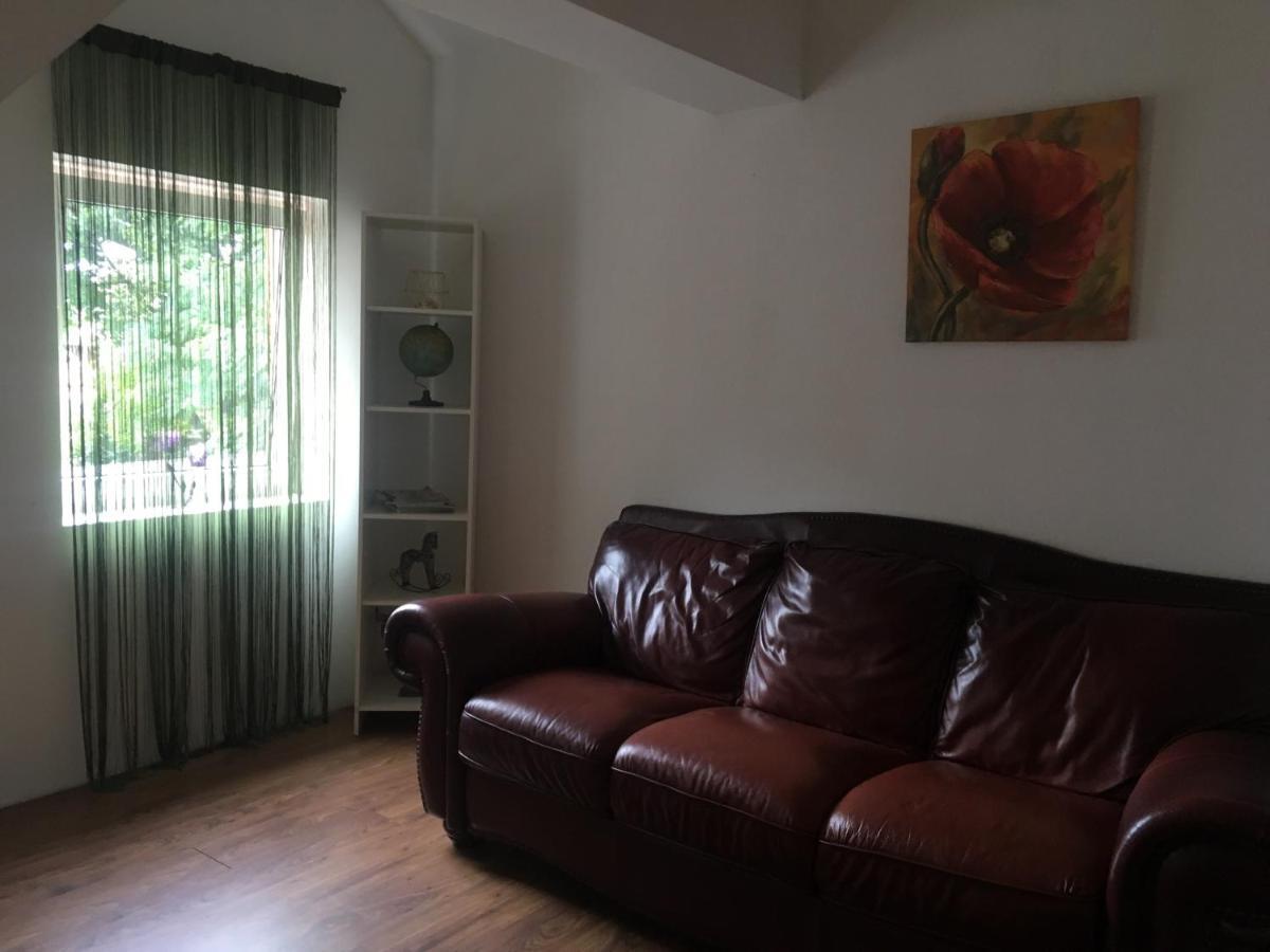 בראשוב Villa Zetta מראה חיצוני תמונה